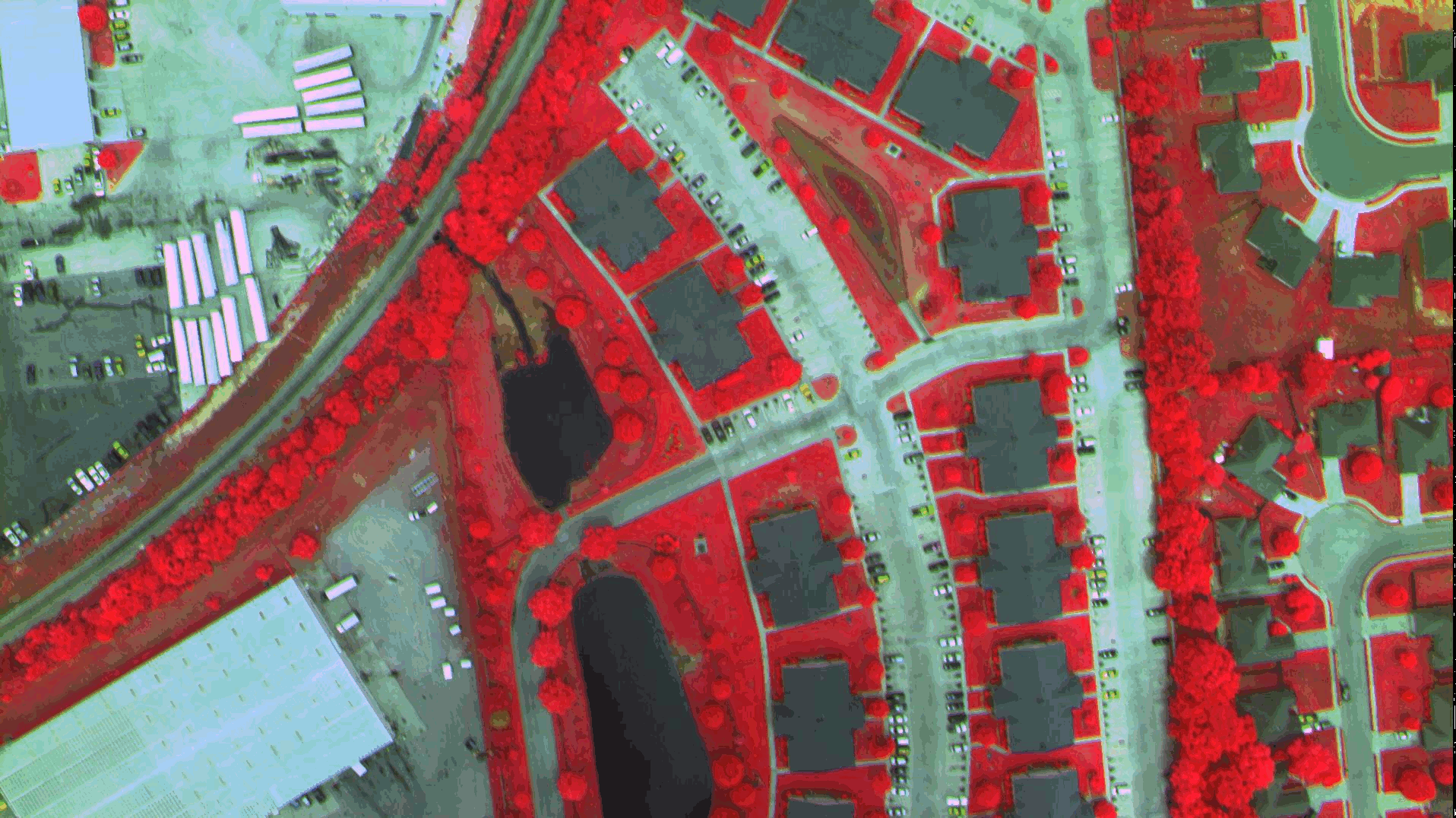 ../_images/rasdaman_ndvi1.png